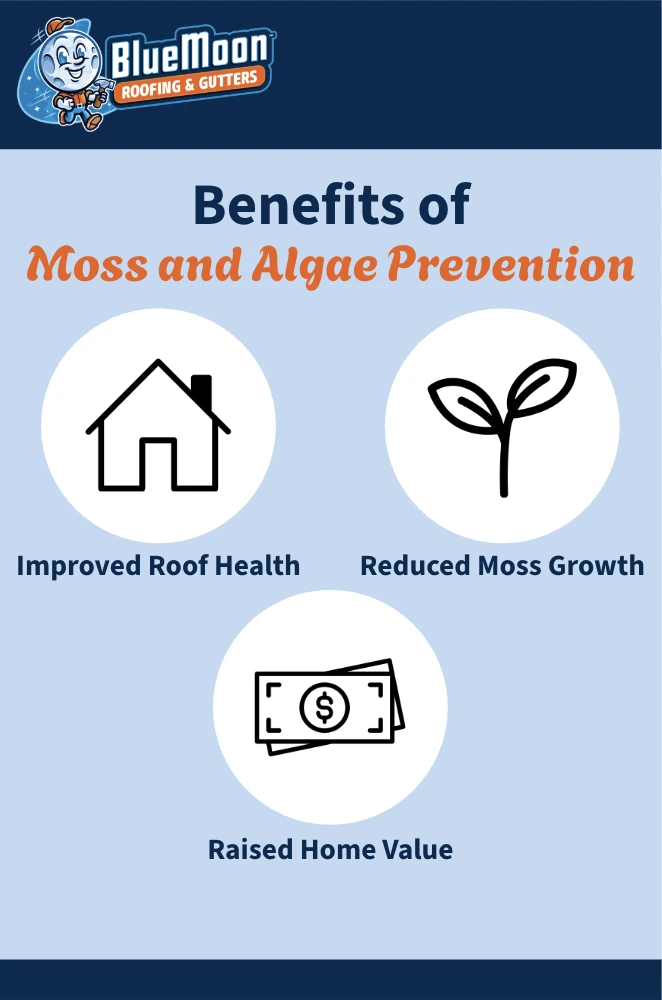 Benefits of moss and algae prevention