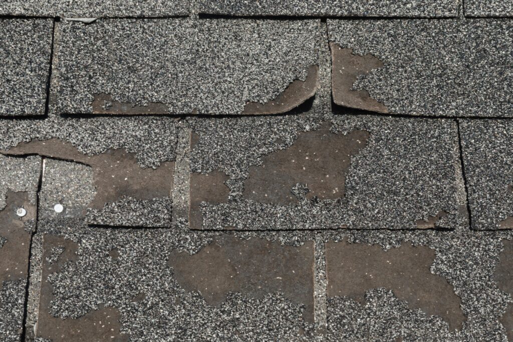 Worn and damaged asphalt roof shingles with missing granules and curled edges are shown—a clear sign Portland homeowners may need a new roof. See our homeowner’s guide for help identifying when it’s time to replace your roof.
