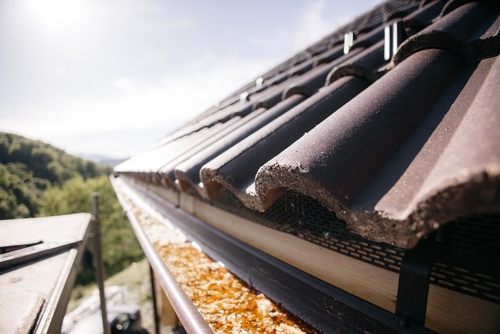 Close-up view of a tiled roof with sectional gutters partially filled with debris, taken from the edge of the roof on a sunny day—a common sight on many Portland homes.