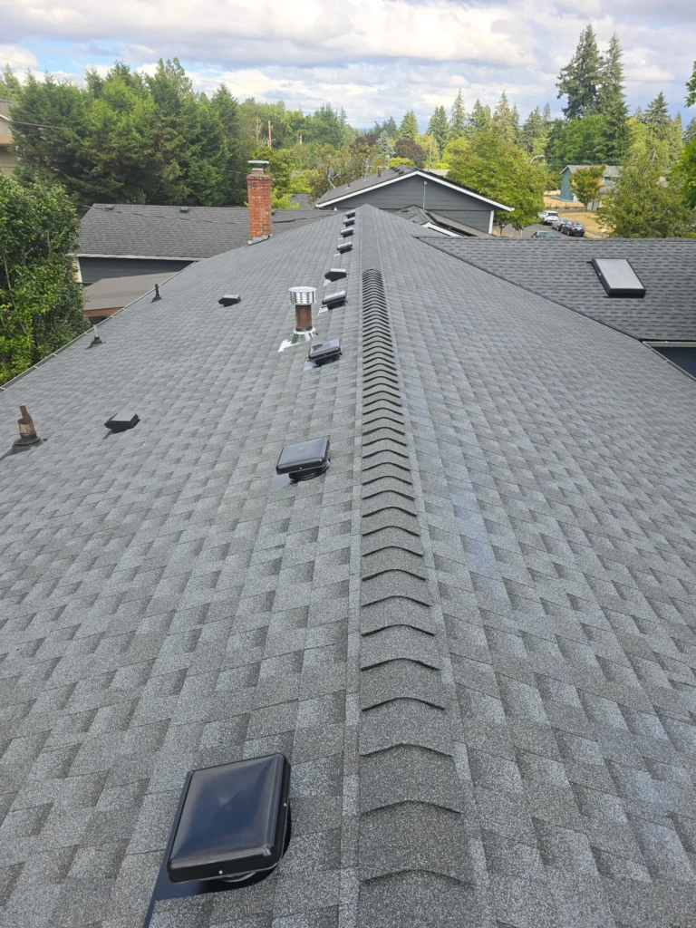 Grey shingled residential roof with multiple vents and a chimney, flanked by trees and neighboring houses, under a partly cloudy sky.